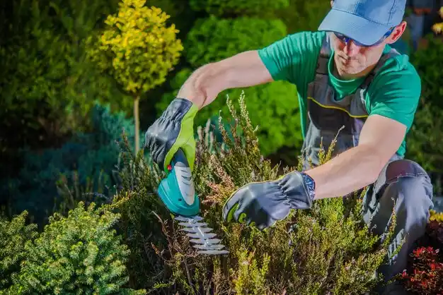 landscaping services Little Hocking